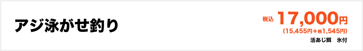 アジ泳がせ釣り17000円(活あじ餌　氷付)