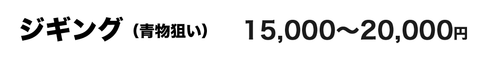 ジギング：12,000〜20,000円