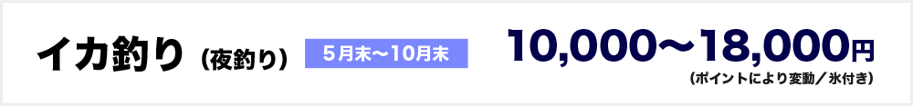 イカ釣り（夜釣り）５月末～10月末　10000～18000円（ポイントにより変動／氷付き）