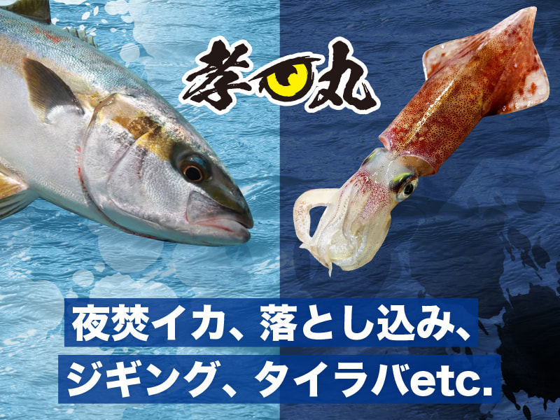 孝丸 - 福岡 博多 釣り船