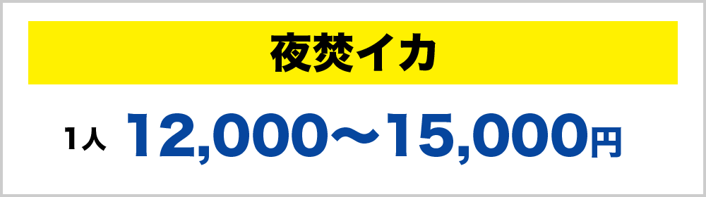 夜焚イカ：１人12,000～15,000円