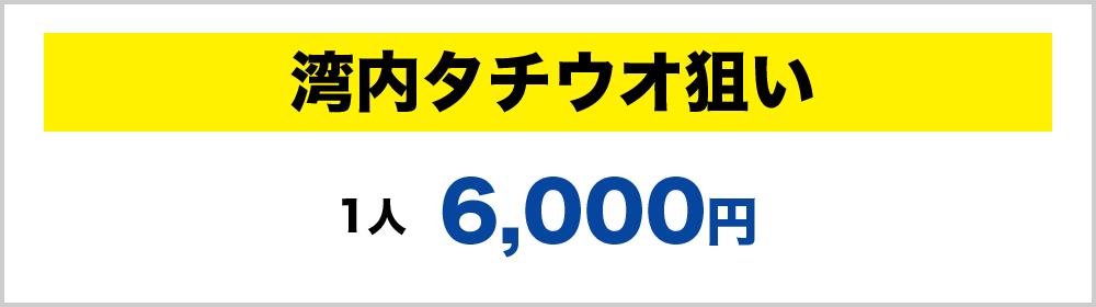 湾内タチウオ狙いで１人6,000円